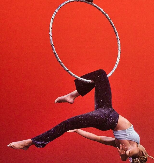 Qu&rsquo;est-ce que le cerceau aérien ?